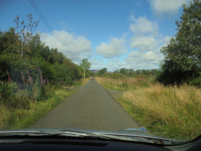 DSC07787.JPG
