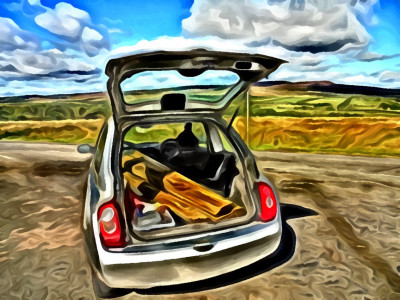 micra wood.jpg