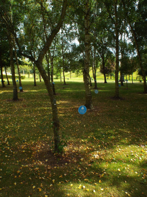 Tree planted in memory of 85 Squadron.