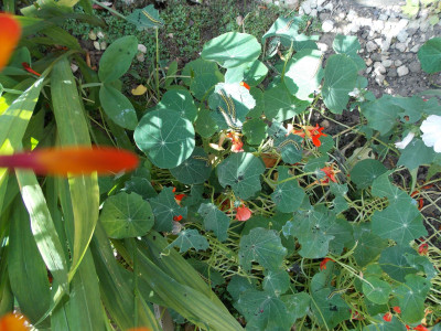 DSCN0029.JPG