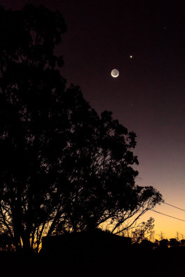 New moon-44988.jpg