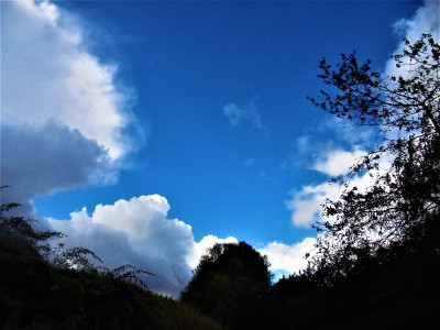 DSC08037 (2).JPG
