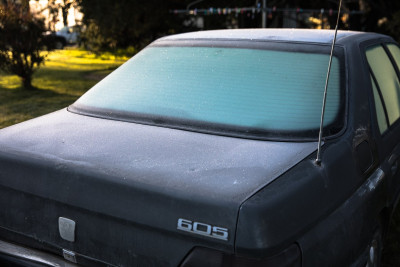 Frosty morning-45126.jpg