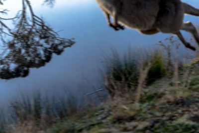 Frosty morning-45160.jpg