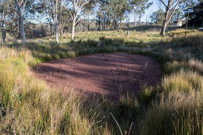 Frosty morning-45174.jpg