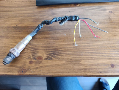 oxygen sensor