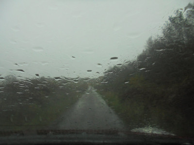 DSC08353.JPG