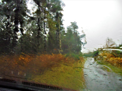 DSC08352 (2).JPG