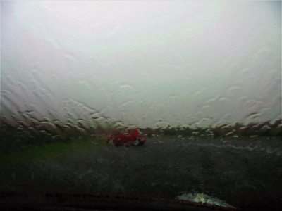DSC08354 (2).JPG