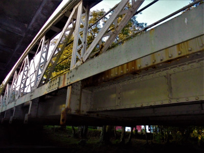 DSC08476 (2).JPG