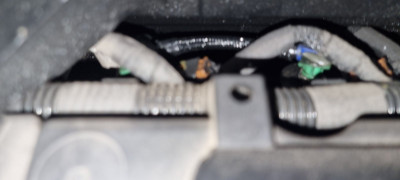 20241030_033854.jpg