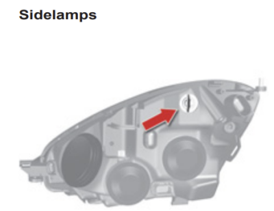 C4 Pic Bulbs b.png