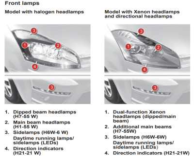 C4 Pic Bulbs.png