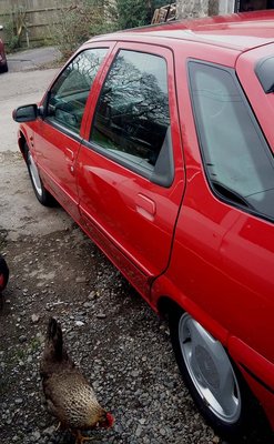 20180413_154713.jpg