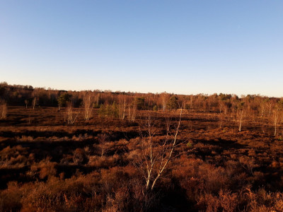 Iping Common - Mrs Bobins' own work