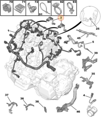 steve injector harness.png