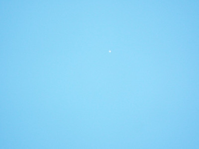 2025_0130_10375800.jpg