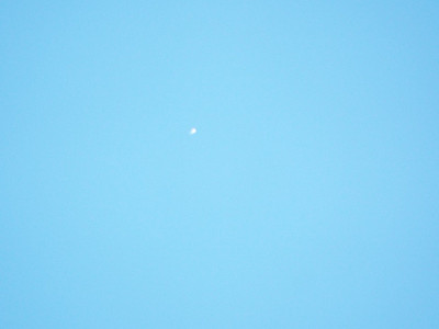 2025_0130_10375300.jpg