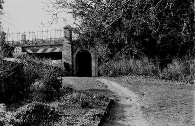 Ilford HP5, 400ASA and processed in Ilfosol3