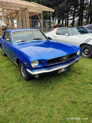 IMG_20250427_125917.jpg