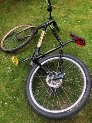 Skull's - Cannondale F900SX
