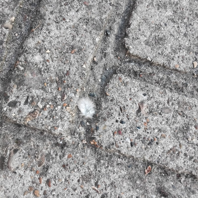 20250912_113614.jpg