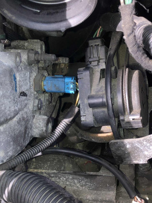 Skull's - Thermostat Housing
