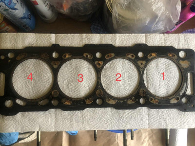 Skull's - HDi gasket