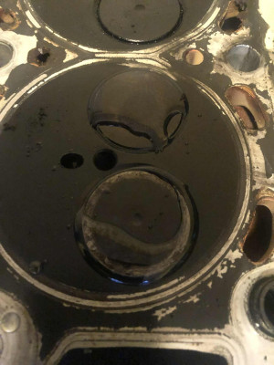 Skull's - Valves soaking