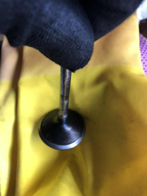 Skull's - HDi Inlet Valve lightly cleaned