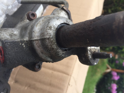 Pinion C.JPG