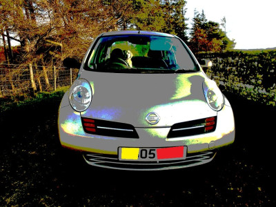 micra2a.jpg