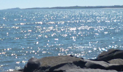 P1090537sea.jpg