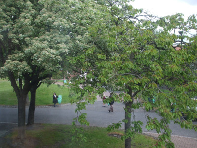 DSCF4165.JPG