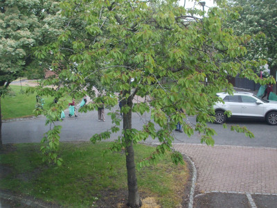 DSCF4163.JPG