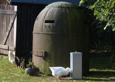 Cute Goose Beamish 1334.JPG