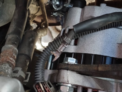 alternator cable.jpeg (199.79 KiB) Viewed 113 times The spade that was too small