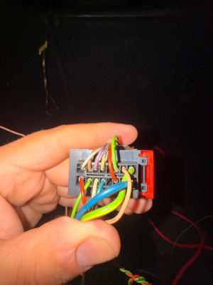 IMG_2716.jpeg