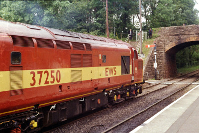 37250BL-1.jpg