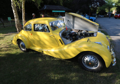 Yellow Bristol - own work