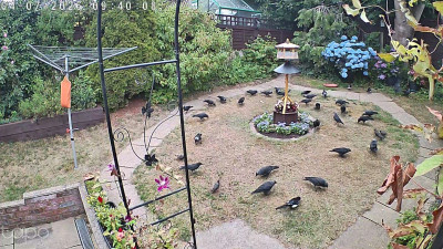 Breakfast time at Maverickmanor