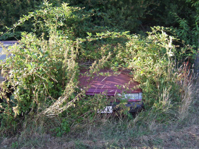 DSCF2630.JPG